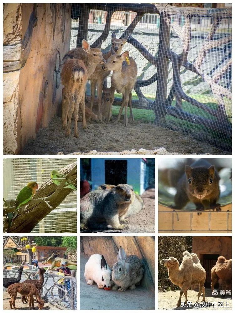 汉中户外遛娃好去处排行榜,汉中遛娃旅游景点有哪些