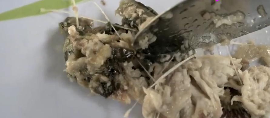 1万v高压能把人瞬间电死吗,高压线能电死人的原理