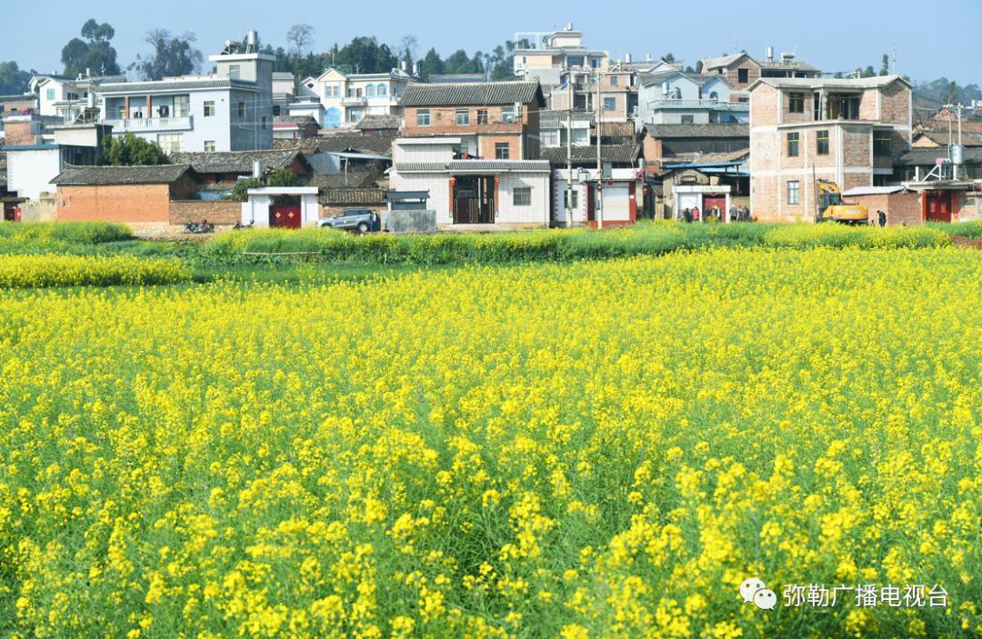 什么是弥勒教,什么是弥勒尊佛