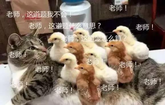 你所认识的英语老师,你觉得一个好的老师是什么样子的