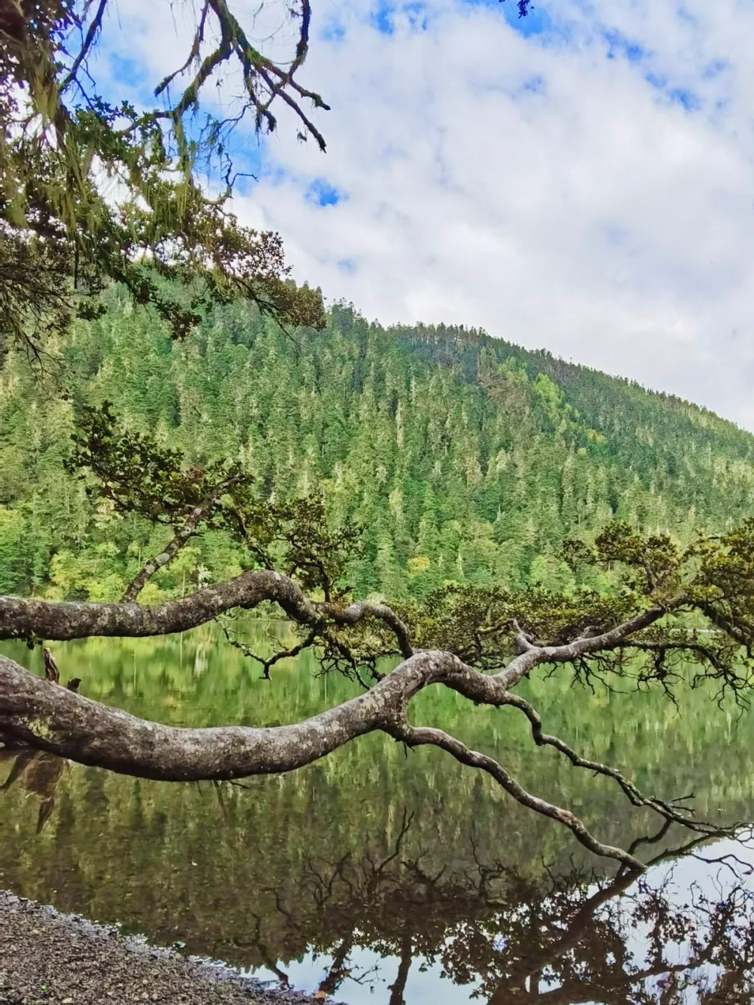 《有翡》取景地曝光！这个海拔3700，现场配救护车的地方要火