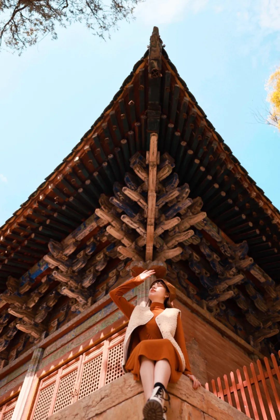 黄了！山东爆火的“银杏林”，千余亩的曼妙绝伦，只等你来！