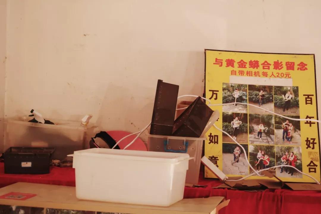 在动物园散步才是正经事|暴走福州