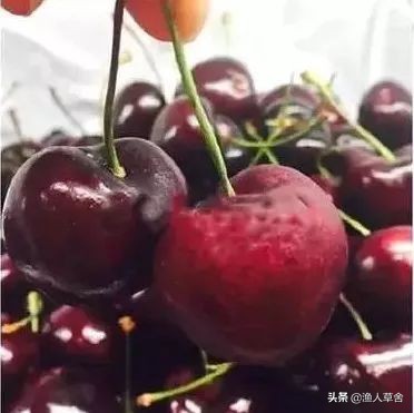 各国cherry车厘子品种，与我国大樱桃有哪些不同