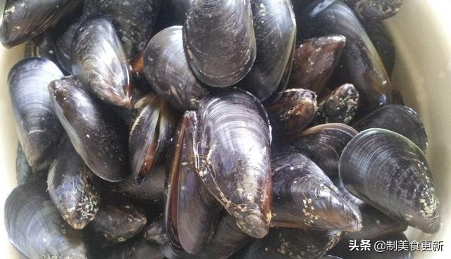 买的海虹怎么处理,海虹如何吃好