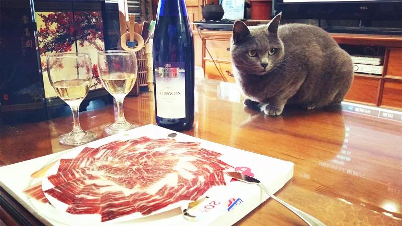 美食旅行|西班牙火腿