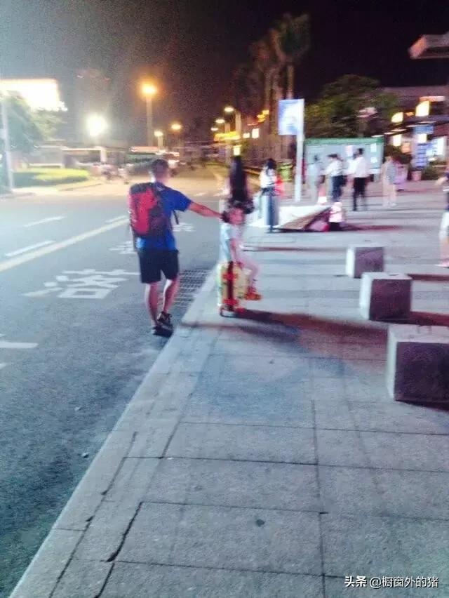 泰北玫瑰的英文,泰北玫瑰图片