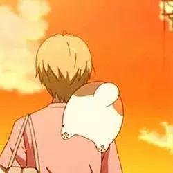 推荐一些超好看的头像包括自己的,超好看的10种头像