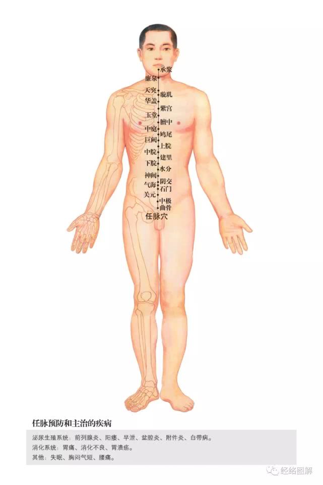 有助于受孕的穴位,任脉中最神奇的穴位