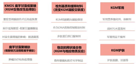 魔芋食品的发展前景,魔芋产品市场前景