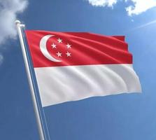 新加坡留学费用一年多少人民币,初中留学新加坡需要什么条件