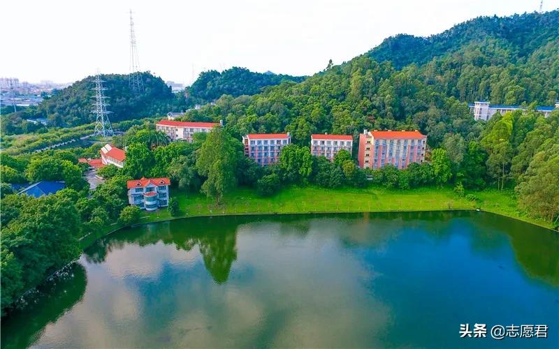 广东有哪些高职可以推荐的,广东高职院校就业前景排名