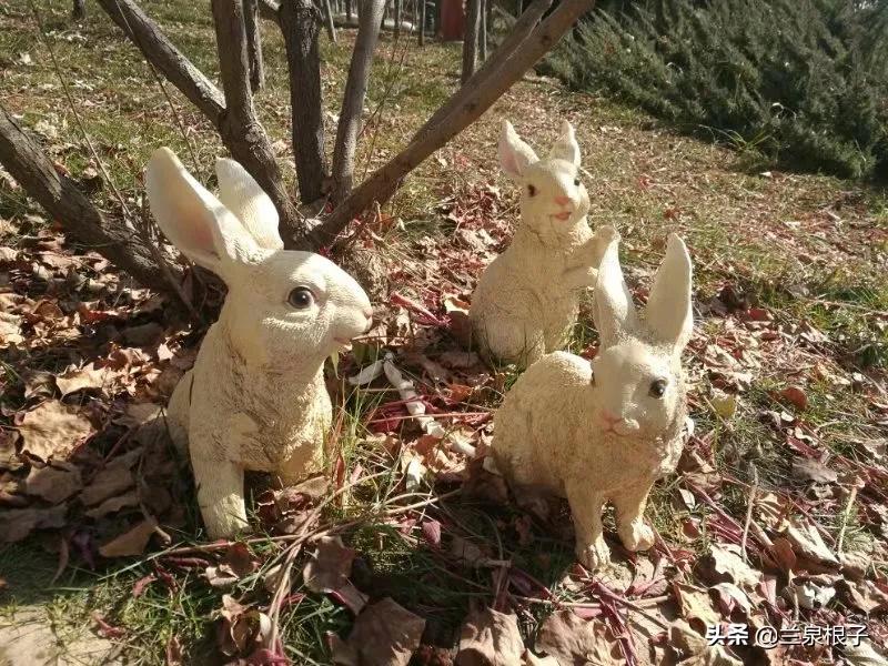 立冬自然风景,立冬雪景山水风景视频