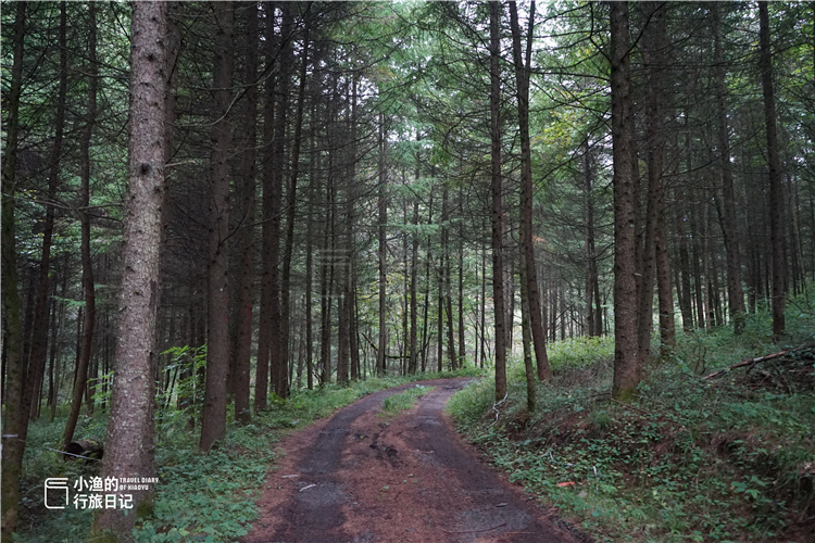 深藏在秦岭中的山水秘境,秦岭山中藏了一个世外桃源