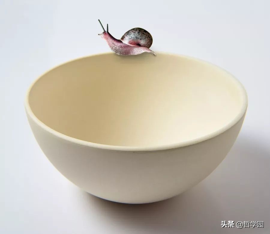 缺乏逻辑的人会怎么样,缺乏逻辑的人没有能力发现真理