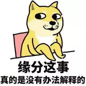 三胞胎姐妹高考均过601分视频,三胞胎高考考出连号