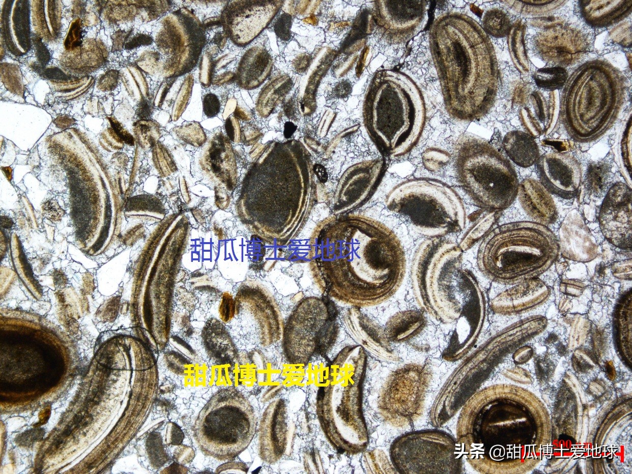 塔里木超深井,塔里木盆地超深层石油储量多少吨