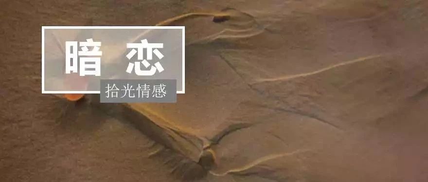 最理智的暗恋是什么样子,最理性的暗恋就是让暗恋成真