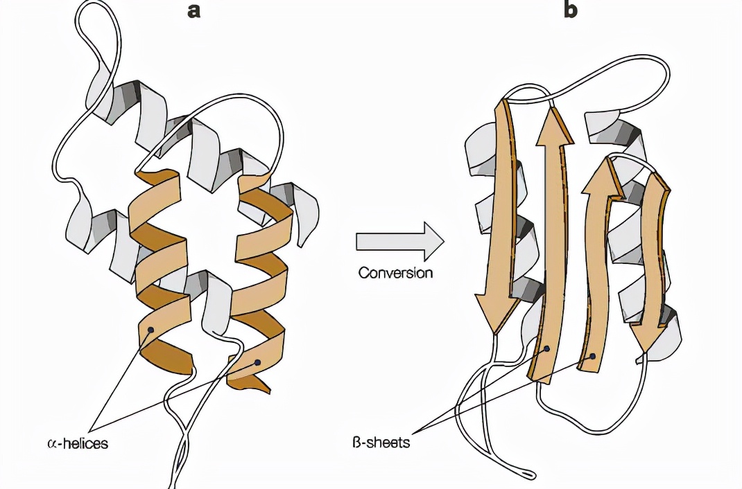 刻在基因上的禁令知乎,刻在基因上的禁令