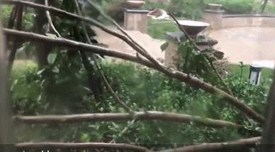 泗洪周边暴雨最新状况,泗洪大雨暴雨视频最新