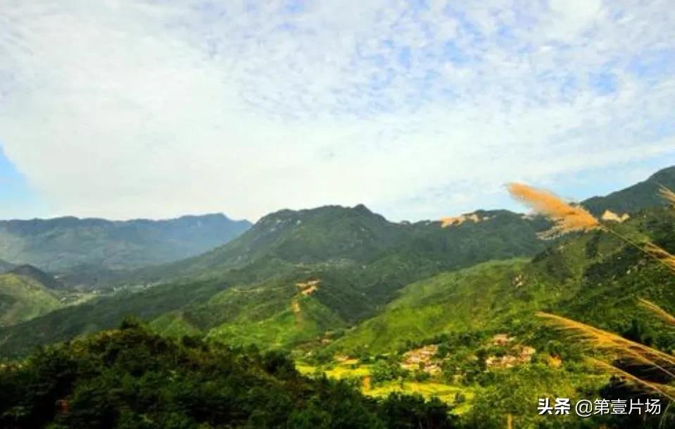 湖北首富前十名分别是哪里人,湖北首富阎志总捐了100亿