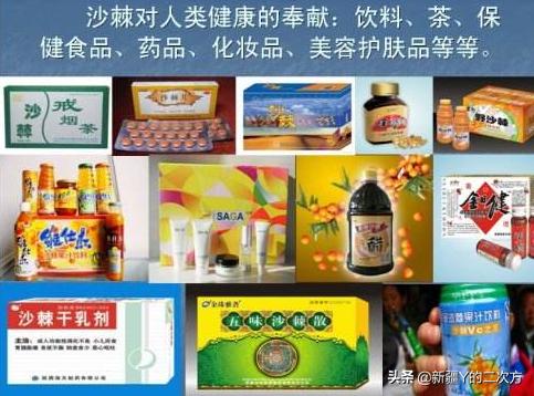 沙棘的历史与起源,新疆沙棘前景