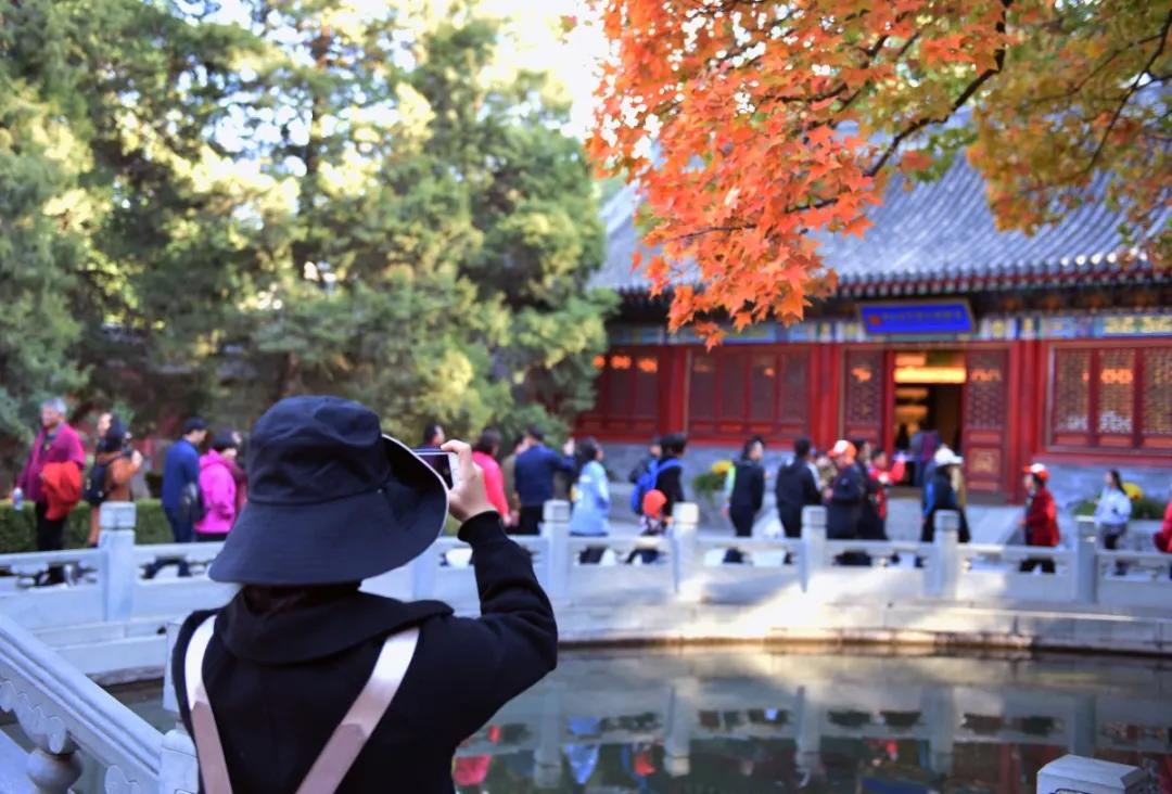 出行安全宝典,北京旅游安全攻略