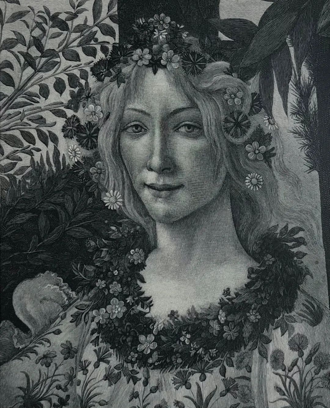 微拍|欧洲大师百年老版画（23）