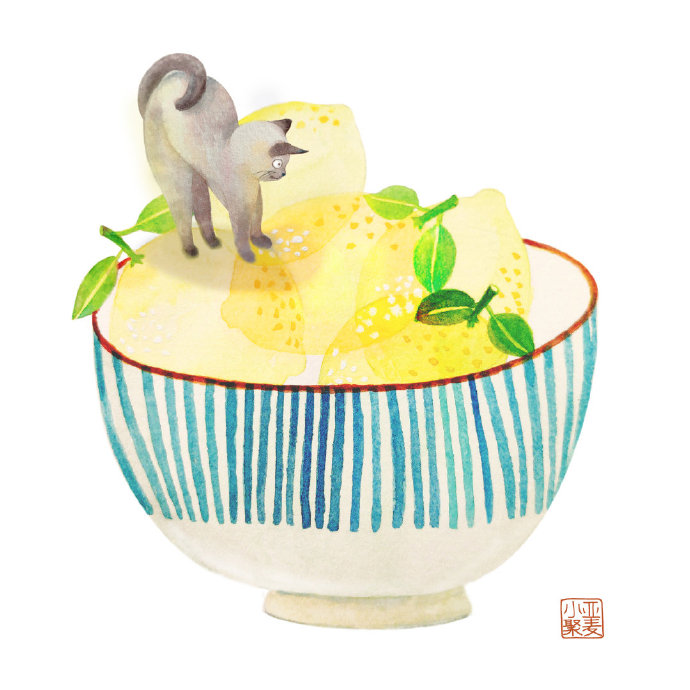 关于猫咪的冷知识大全,猫咪的冷知识你知道哪些