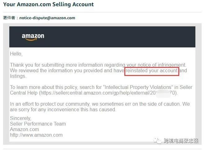亚马逊怎么处理专利侵权申诉,亚马逊侵权申诉服务商大概多少钱