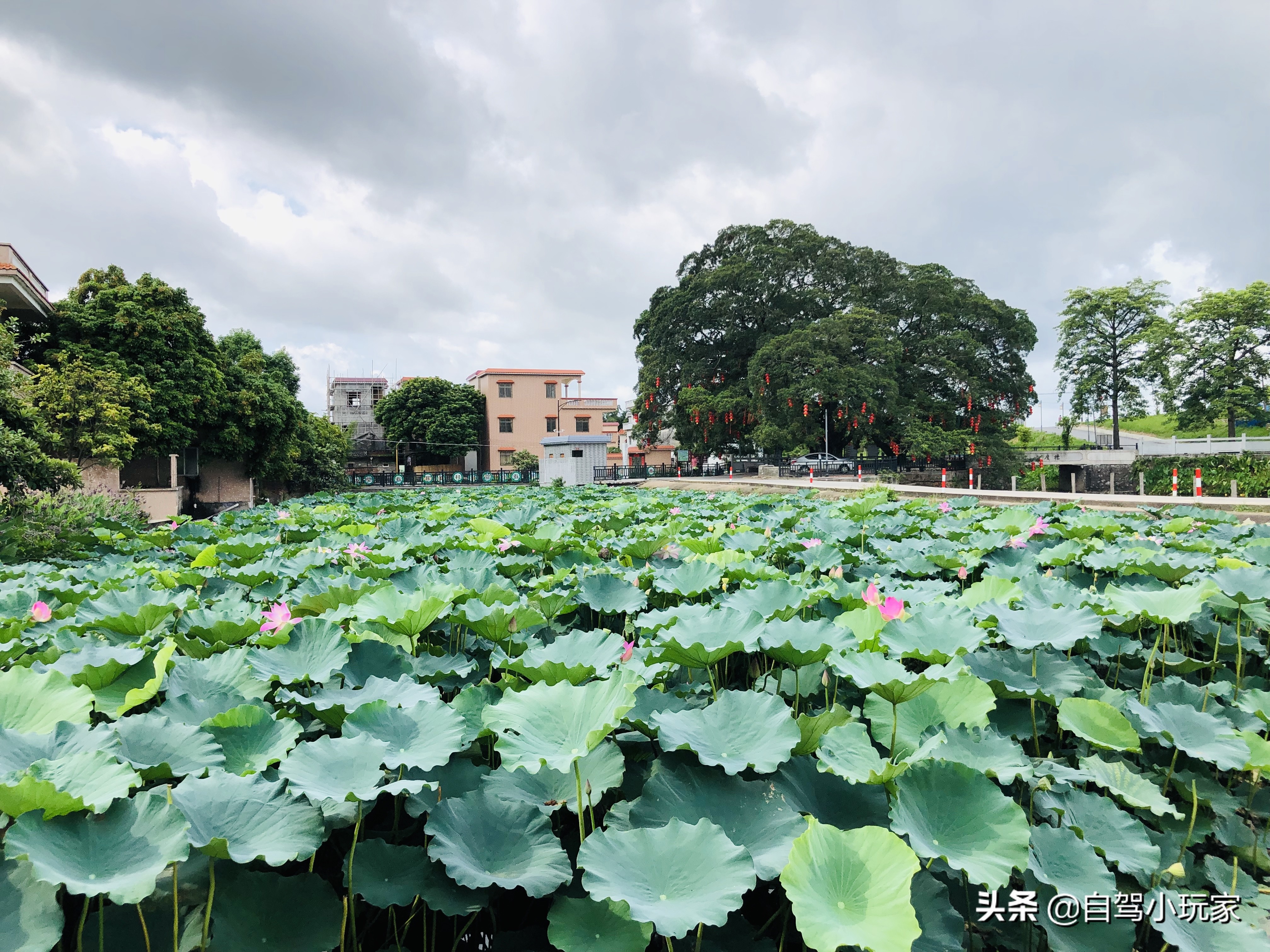 广州好玩的地方小众,广州小众景点排行榜