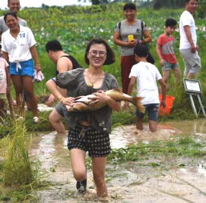 南宁隐藏的景点,南宁周边农家乐游玩景点推荐