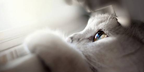 当我和我的朋友谈论感情,当我和朋友聊天我们在聊什么