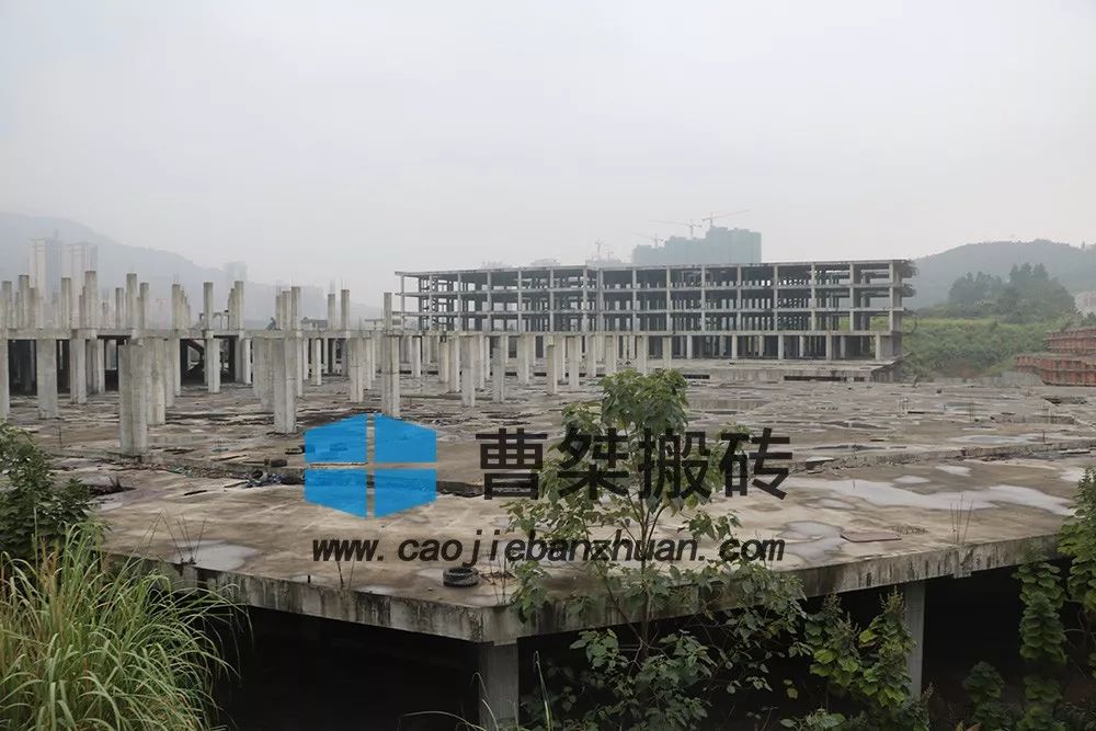 红星美凯龙最新近况,红星美凯龙经历几代变迁