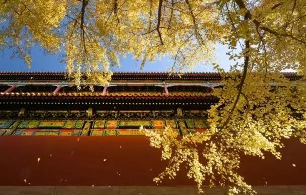 国庆节5句爱国名言警句,国庆节应该发什么关于爱国的句子