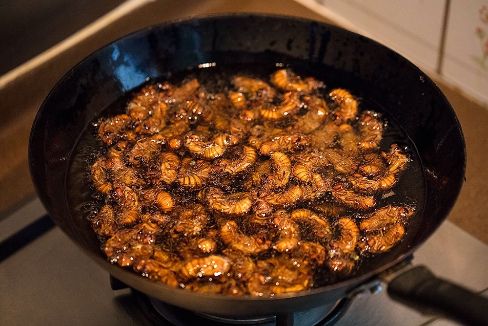 金蝉吃了有什么好处,金蝉到底能不能吃