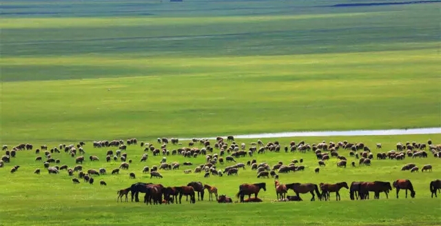 g20阿根廷峰会各国领导入场,阿根廷g20峰会各国领导抵达现场