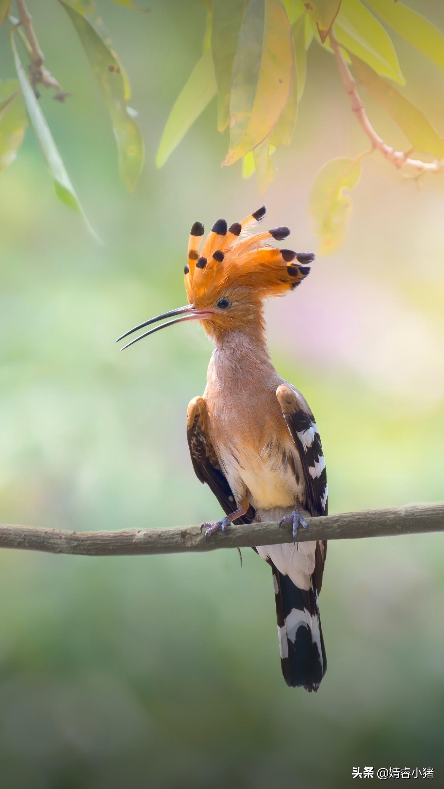 任何事不要轻易评判,任何事情不要太奢望