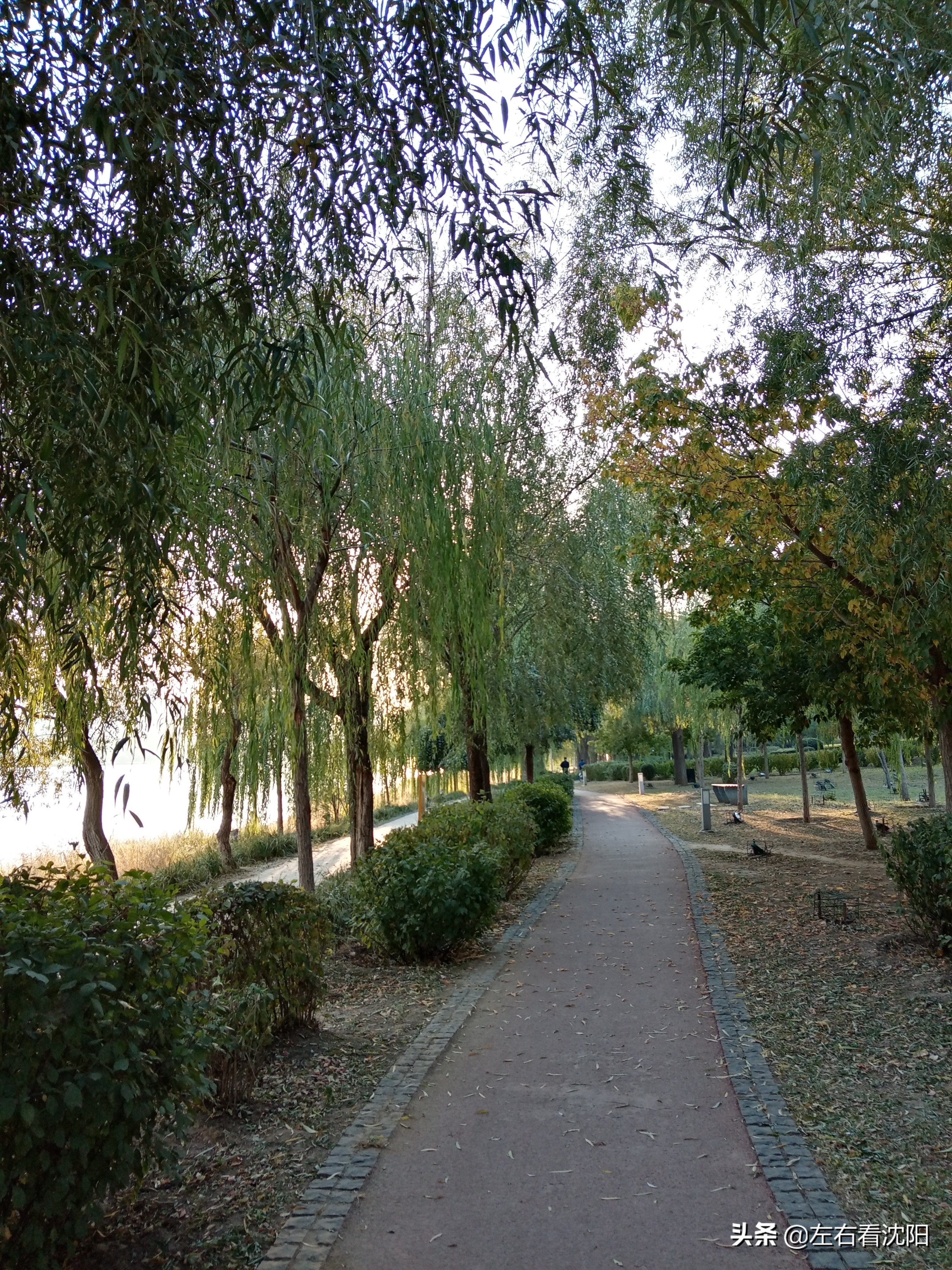 沈阳五里河公园攻略,沈阳五里河公园现在开吗