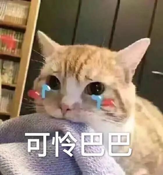 局部吊顶还是全部吊顶,pvc吊顶跟石膏板吊顶哪个省钱