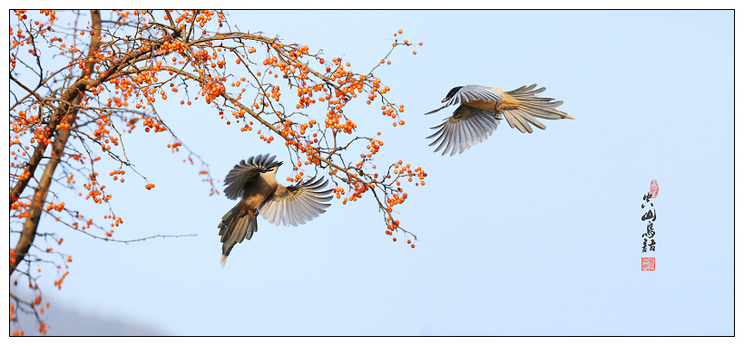 最杰出的音乐家,一位优秀钢琴老师的特征