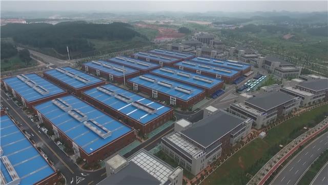 8000余名困难群众在贵安上班啦！源于劳务协作的这项新举措！