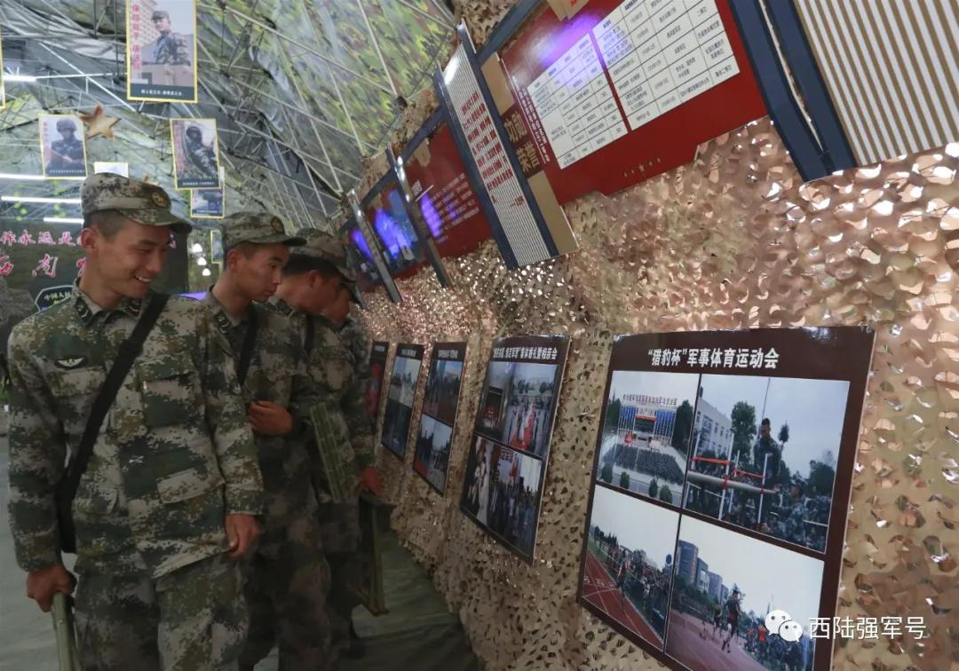 西南猎豹豹头,西南猎豹高原