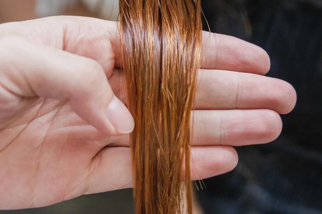 凭实力说话不靠脸,凭实力说话下一句