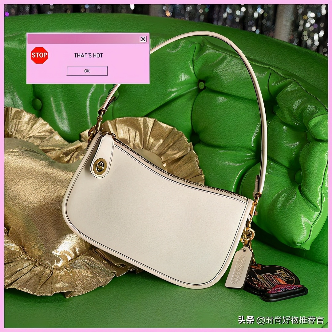 一周内爆款包包,单肩男包2019年冬季蔻驰