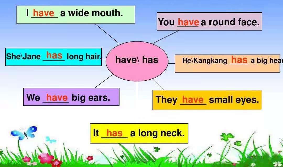 英语常用动词讲解,英语常用动词have