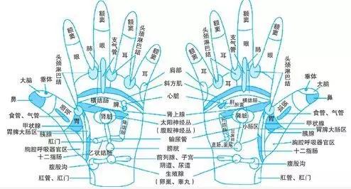 按按手，向鼠标手说拜拜