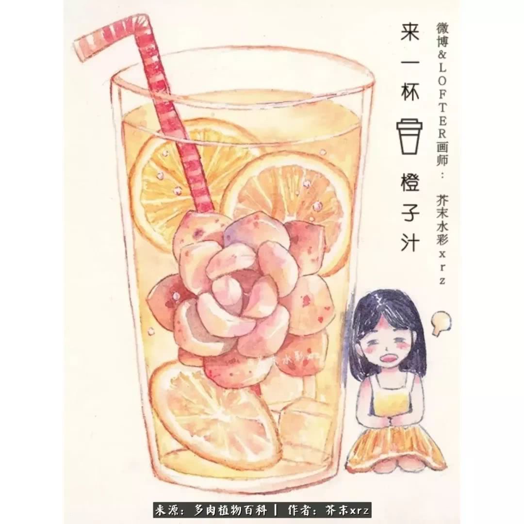 那个爱画多肉的小姑娘带着她的心头肉又来啦！