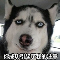 不需要什么就可以制作的软件,手机如何进行电子相册制作