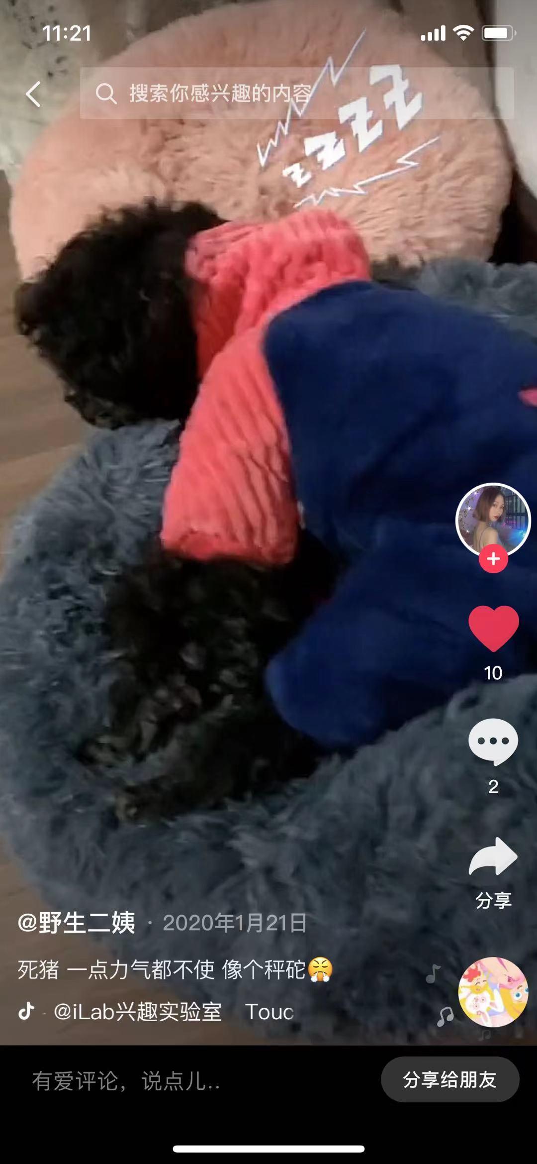 广州SG亮碧思Francine传销诈骗组织，小心入坑